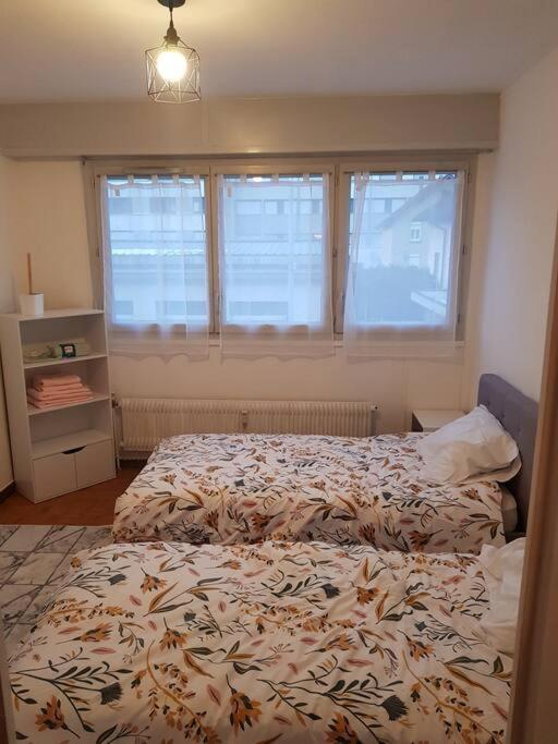 Magnifique T2 Au Centre Ville 클뤼스 외부 사진